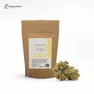 Flor de CBD | Obi-Wan