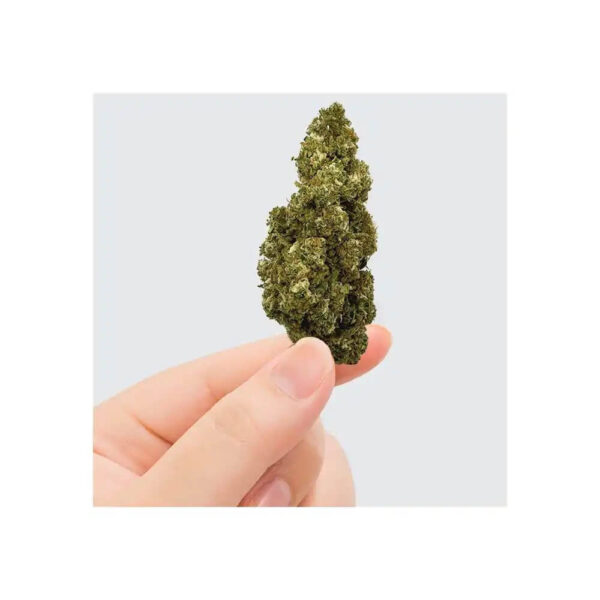 Flores CBD - ORANGE BUD 1