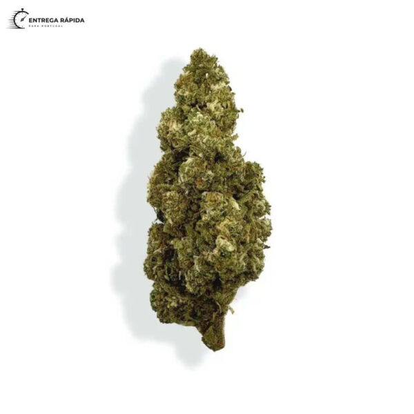 Flores CBD - ORANGE BUD