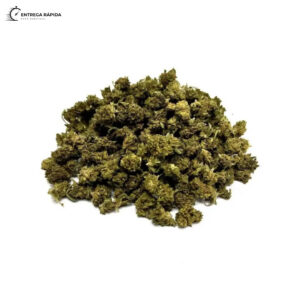 pink-lady-cbd-premium-small-buds 1